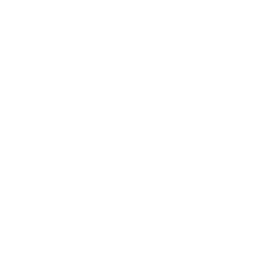 Owl icon